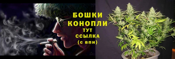 шишки Касимов