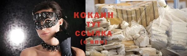 шишки Касимов
