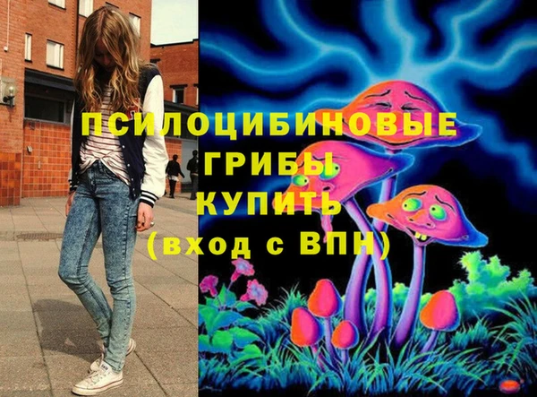 марки nbome Карпинск