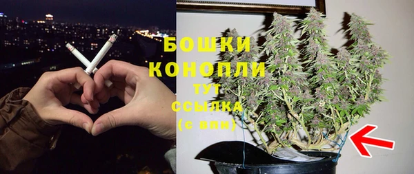 шишки Касимов