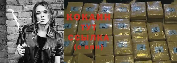 гидра Киренск