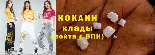шишки Касимов