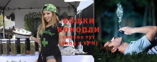 шишки Касимов